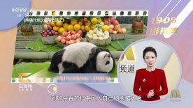 杨紫琼周迅贾静雯领衔新片来袭，她们值得！